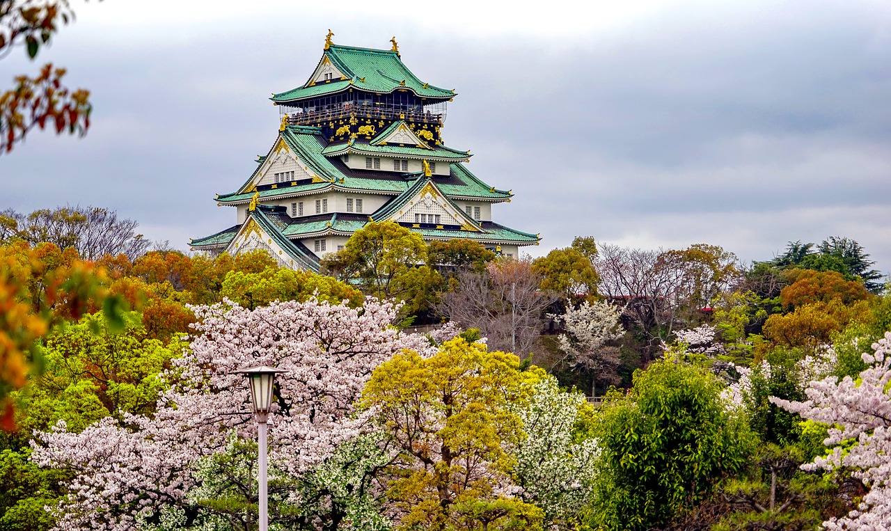 阿里追寻梦想的起点：为何选择高考后去日本留学？